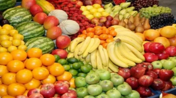 أسعار الفاكهة في سوق العبور.. اليوسفي بـ6 والبرتقال بـ8 جنيهات للكيلو